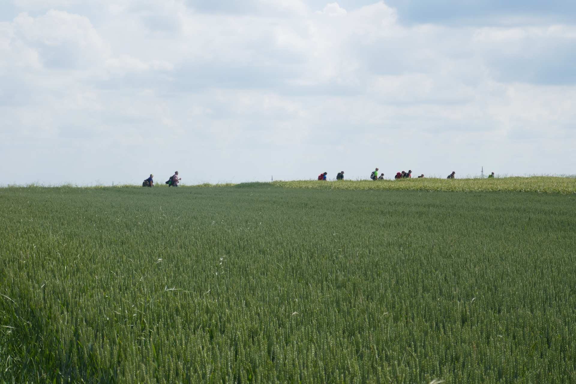 05 Albschäferweg - 2 Tages Wanderung im Juni